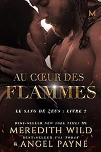 Couverture du livre Au coeur des flammes - Meredith Wild - Angel Payne