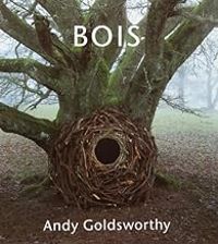 Andy Goldsworthy - Terry Friedman - William Olivier Desmond - Bois