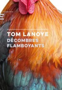 Tom Lanoye - Décombres flamboyants