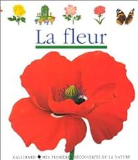 Couverture du livre La fleur - Claude Delafosse - Rene Mettler